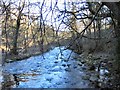 River Don at Middlewood