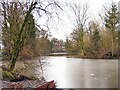 Grimsditch Mill Pool