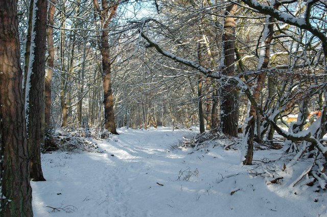 Dornoch - Earls Cross Wood