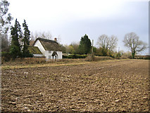ST4415 : Little Thatch cottage, Pound, South Petherton, Somerset by Rodney Burton