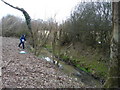 A tributary of the River Mole