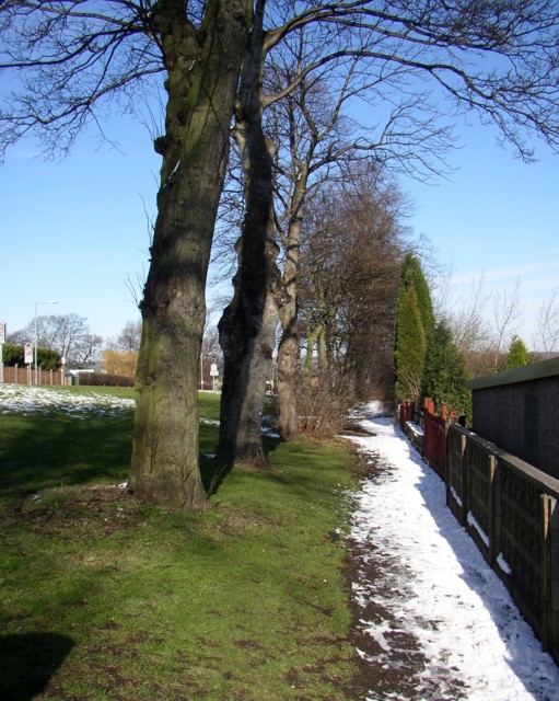 Footpath alongside Field Top Road, Rastrick (SE137219)