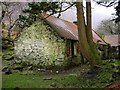 V8784 : Abandoned cottage, Gap of Dunloe by Robin Moody