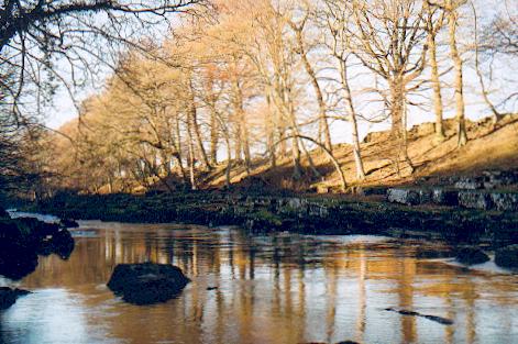 The Tees near Rokeby