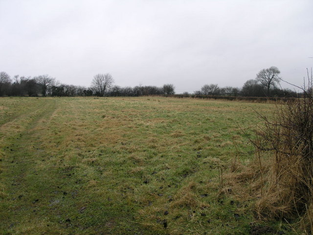 Fields and Hedges