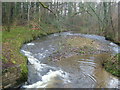 River Yealm from Lotherton Bridge