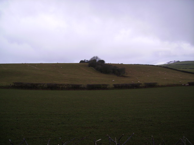 Farmland Near Newton