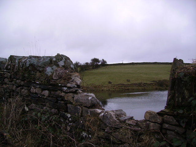Wall and Pond