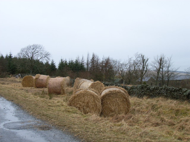 Roadside hay at The Nook