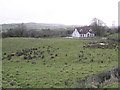 Tievenny Townland