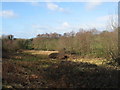 Fields beside River Brit, Wooth