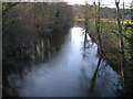 River Teign at Chudleigh Bridge