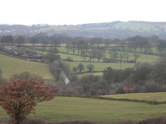 Hilltop Plantation with Berry Moor Cottages