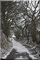 Minor road above Lawns Road - Esk Valley