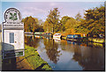 The River Wey, Shalford.