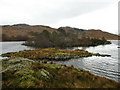 NM6995 : Island in Loch an Nostarie by Lisa Jarvis