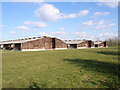 Chicken farm near Edgcott