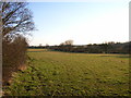 Farmland near Preston Bissett