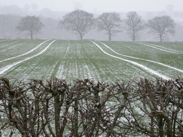 Snowy fields at Ingfield Farm