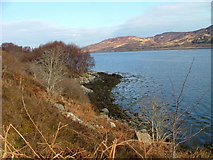 NG5827 : Shore of Loch na Cairidh by Dave Fergusson