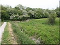 Grantham Canal obstacle