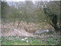 Mediaeval Fish Pond, Rothwell