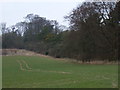 Farmland and woods near Britwell Salome House