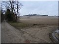 Farm road, Ewelme Downs