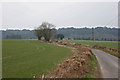 Road heading towards Dean Hill