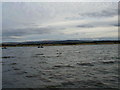 NT6279 : Tynemouth, high tide by Alastair Seagroatt