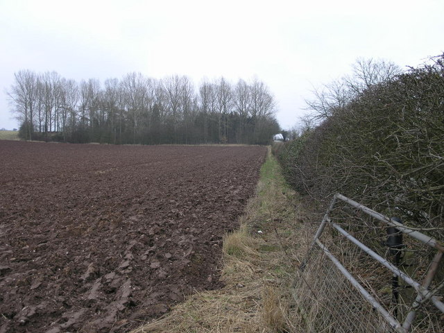Field and Hedge