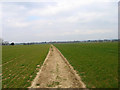 Footpath, near Yapton