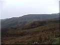 NR6107 : Top of Borgadale Glen. by Steve Partridge