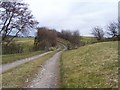 Farm lane to Newbiggin Grange