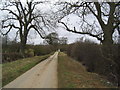 Lane to College Farm