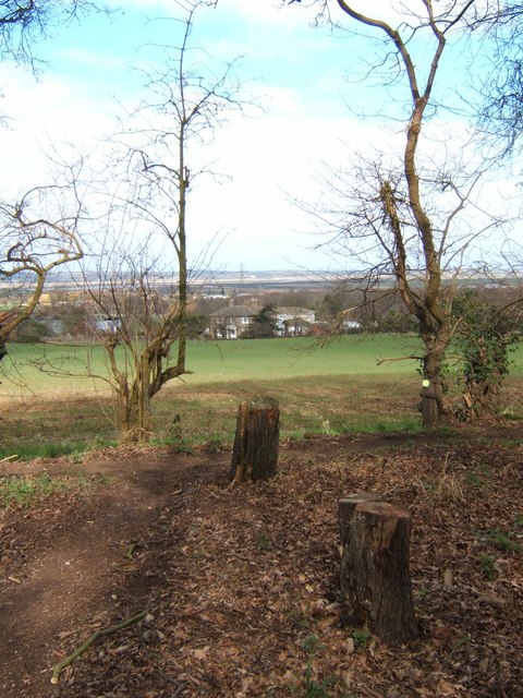 View Across the Crouch Valley