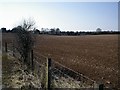 Fields at Larkwhistle Farm