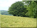 View on Foxdon Hill