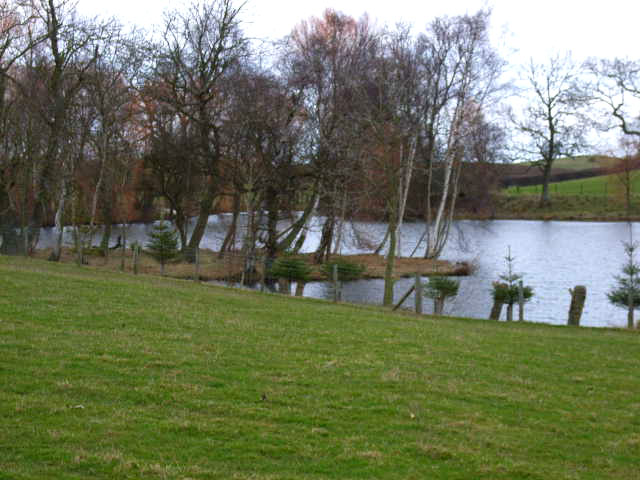Pond near Newton-le-Willows, North Yorks