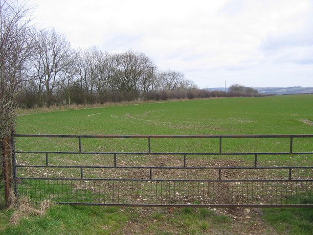 Farmland on the B1253