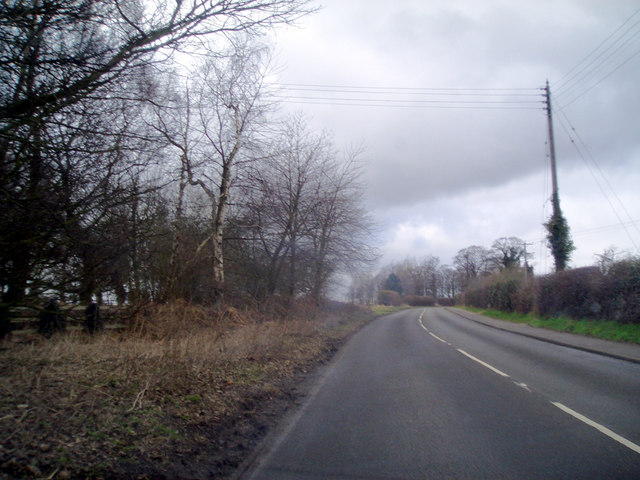 The Avenue, West of Normanby