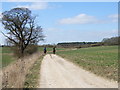 Bridleway near Whitehouse Farm