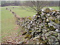 Dry stone wall near Rhos y Gwaliau