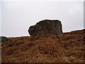 Boulder on Garth Goch