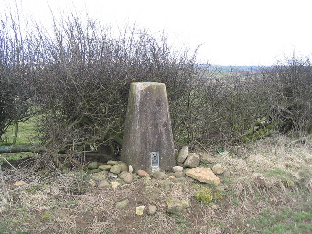 Trig. Point near Launde Park Wood
