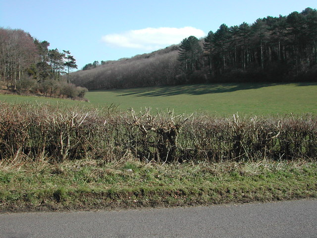 View Eastwards over fields to Canon's Wood
