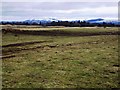 Fields between Braco and Muthill