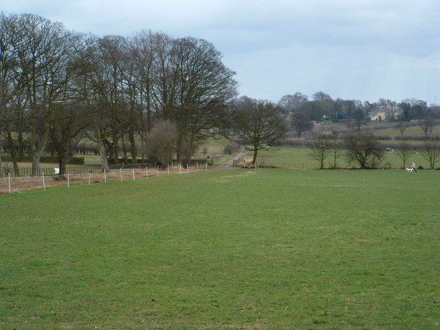 Track towards Wood Farm