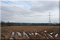 Cullompton: overhead power line near Langford