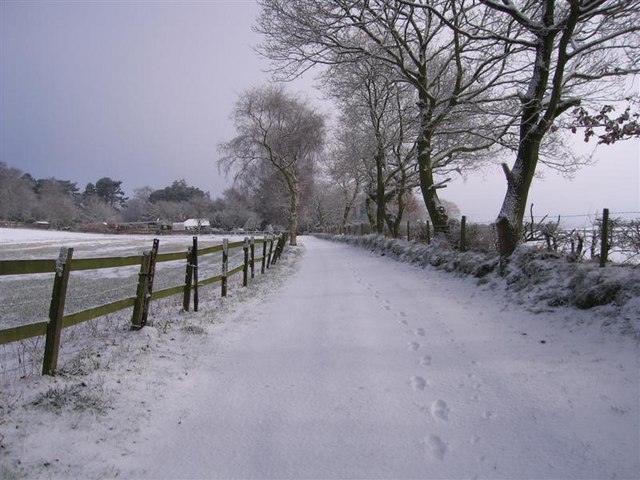 Footpath on Beacon Hill, Frodsham